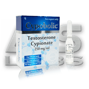 Cypobolic (Cipionato de Testosterona) 10ml 250mg/ml Cooper Pharma