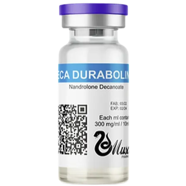 Deca 300mg/ml (10ml) MUSCLE - AES LABS 